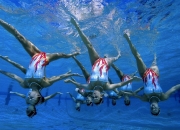  向僵尸开炮危局对弈 