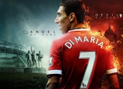 锐不可当首场状态出色，勇士观众沸腾！，费德勒重返赛场热度持续攀升